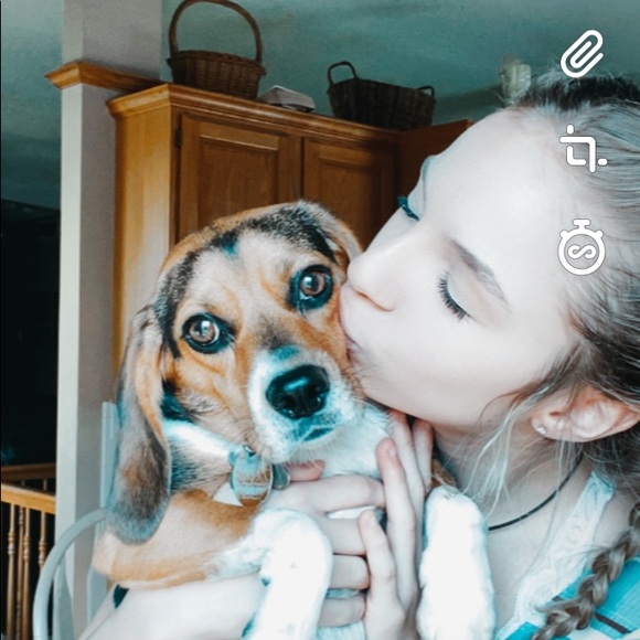 Meet your Posher, Samie - Picture 1 of 1